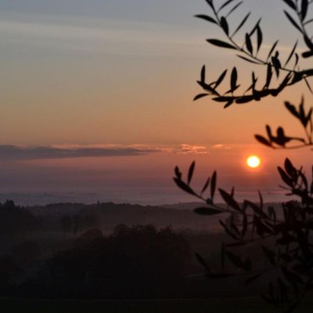 Podere Ficareto Farm Ancaiano Exterior photo