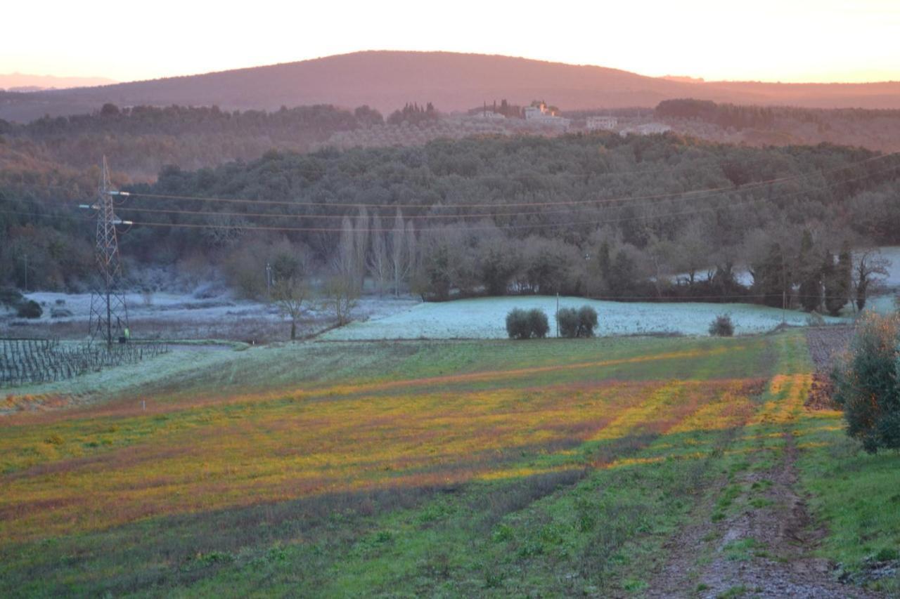 Podere Ficareto Farm Ancaiano Exterior photo